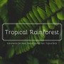 Tropical Rainforest: Instrumental Zen Music, Nature Sounds, Rain, Tropical Birds