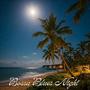 Bossa Blues Late Night Tropical Jazz