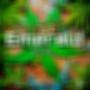 Emerald Tri (Explicit)