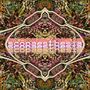 scopaesthesia (Explicit)