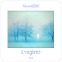 Lysglimt (Lysglimt Live - Advent 2020)