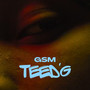 GSM (Explicit)