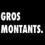 GROS MONTANTS (Explicit)