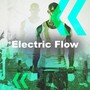 Electric Flow