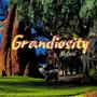 Grandiosity