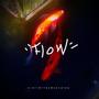 Flow (Explicit)