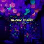 Slow fury (Explicit)