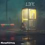 LIFE (Explicit)