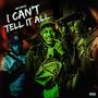 I Can't Tell It All (Explicit)