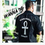 Wanna Do (Explicit)