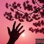 Blossom (Explicit)