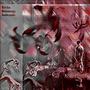 SCHITZO (feat. Waldemarupp) [Explicit]