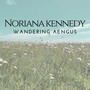 Wandering Aengus (feat. Fergal Scahill & Donogh Henessey)