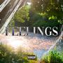 feelings (feat. DINIZZ) [Explicit]