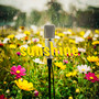 Sunshine