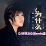 为什么(DJ宇轩2020Remix版)