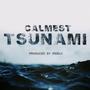 CALMEST TSUNAMI (feat. Riddla) [Explicit]