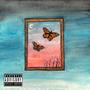 Butterflies (Explicit)