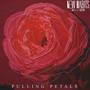 Pulling Petals (Explicit)