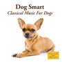 Dog Smart - Classical Music For Dogs