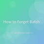 How to Forget Batch