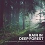 Rain In Deep Forest: Music For Insomnia, Relaxation & Spa, Study, Concentration