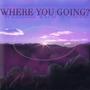 Where You Going? (Explicit)