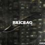 Briceag (feat. Dns) [Explicit]