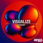 Visualize
