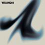 WOUND01