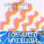 Fossilized Mycelium