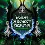 What A Sweet Reality (Explicit)