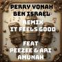 IT FEELS GOOD (feat. PEEZEE & ARI AMUNAH) [REMIX]
