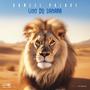 Lion du Sahara
