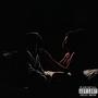 Flashbacks (Explicit)