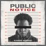 PUBLIC NOTICE (Explicit)