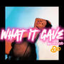 What It Gave (Explicit)