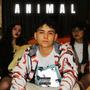 ANIMAL (Explicit)