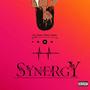 Synergy (feat. Roxy Volcan) [Explicit]
