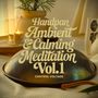 Handpan Ambient & Calming Meditation, Vol. 1