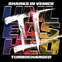 Unleashed 2: Turbocharged