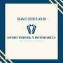 Bachelor (feat. Honorables)