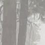 Dark Road (Explicit)