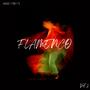 FLAMENCO VOL2
