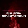 Anladım Sevmiyordun