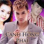 Cánh Hồng Phai