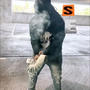 Lifestyle (Explicit)