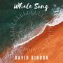 Whale Song