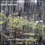 Walk with Me: Admire the Calming Sound of Rain in the Forest