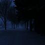 cold night